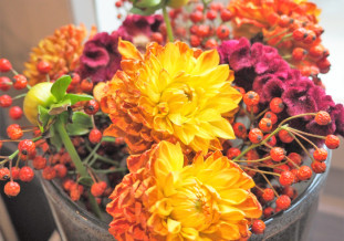 Garten05_700x500
