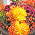 Garten05_700x500