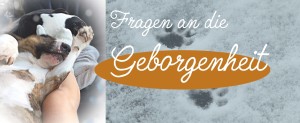 Fragen an die Geborgenheit