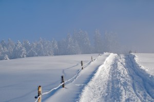 Winterzauber