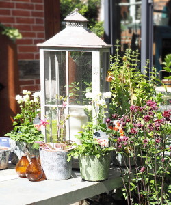 Schönes für den Garten 2